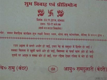marriage of monkey.