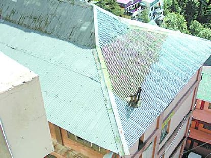 Paint the town red or green roofs can not execute 
