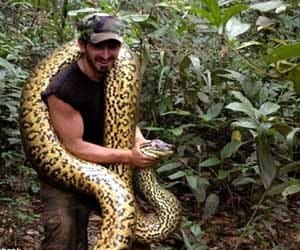 man to get swallowed by anaconda alive