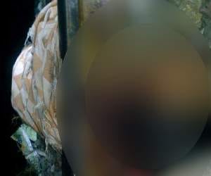 man crushed by train in una.