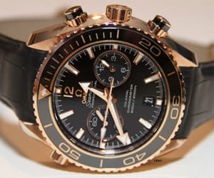 foreigner's 50 lakh rupees watch theft from a hotel