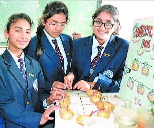 science fair in solan.