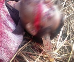brutal murder in kashipur.