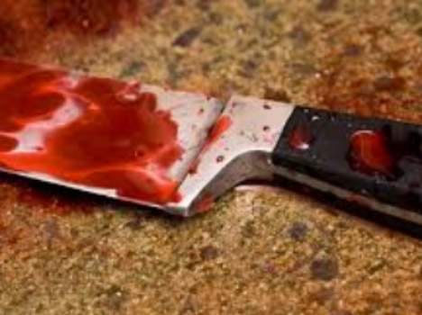 plus two student murdered in kangra.