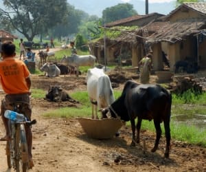 Village in agenda of development