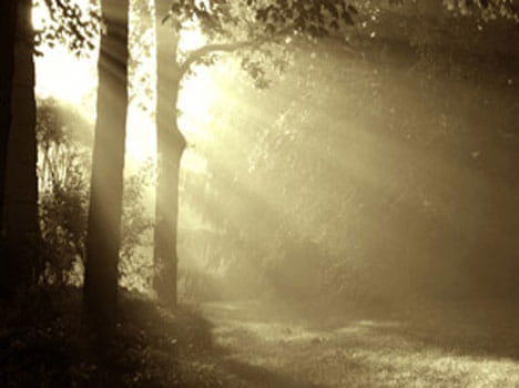 devi mystery of sun light
