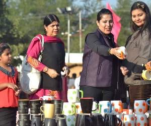 chandigarh craft mela