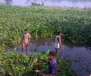 gomti swachchta abhiyan.