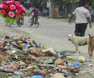 cleanliness is social responsibility