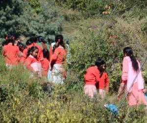 World Toilet Day special report from Himachal.