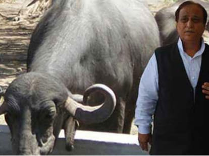 azam khan's buffaloes thief chunnan arrest
