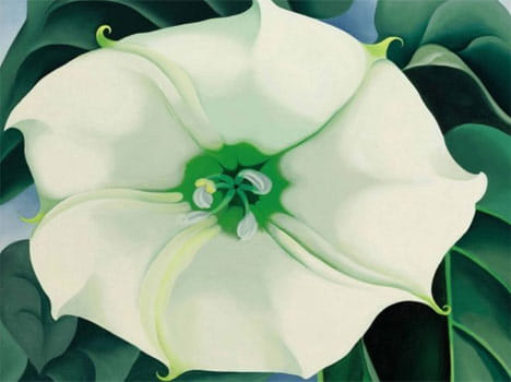 price of white flower is 274 crore rupee.