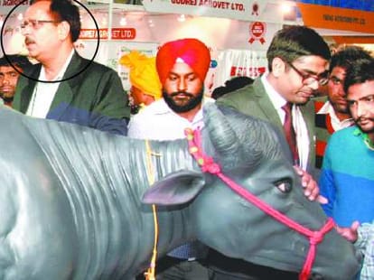 milk salesman baljeet singh become mellionaire, sucess story