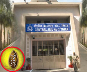 Surgical blades send in tihar jail in a tennis ball. 