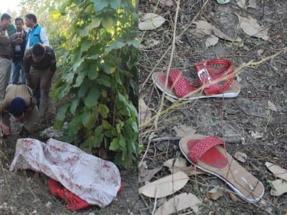 crime in uttarakhand 2014.