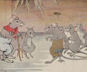 A rat Panchayat of Chhattisgarh