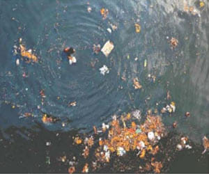 Heavy metals at the bottom of Yamuna