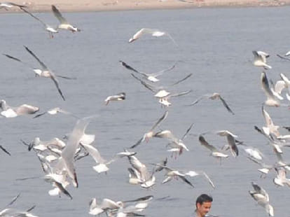 Polluted Ganga Water Turned Red