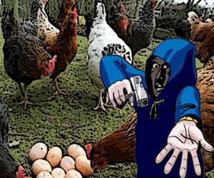 Poultry Shop owner killed by contract killers. 