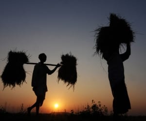 Story of jobless development