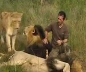 man who befriends 38 lions