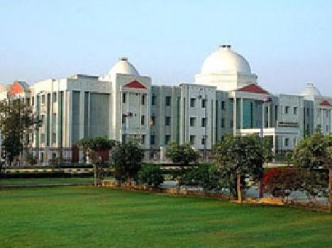 in csjm university the 14 paper of graduation have been objective