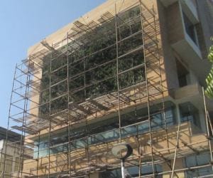 plantation at wall 