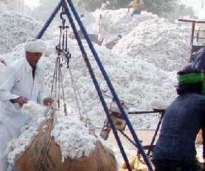 Cuts International to help Agriculture Ministry in business negotiations