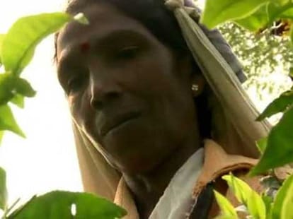 without money how can bagaan workers survive? 