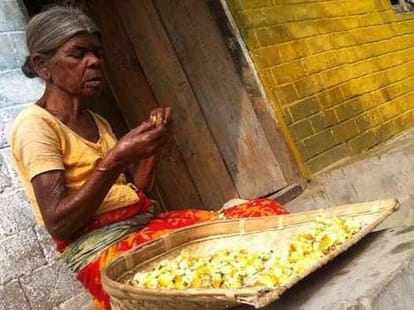 without money how can bagaan workers survive? 