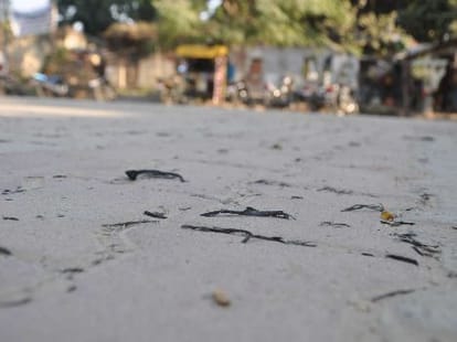 ashes rain in Lucknow.