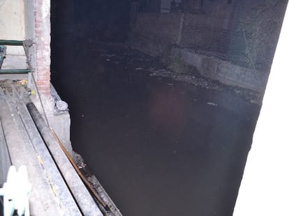 ngt bans dumping in yamuna