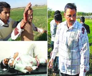 terror of leopord at 72 village near panchkula