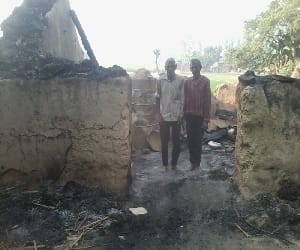 four animal burnt in fire