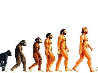 artificial intelligence may end human life says stephan howkins.