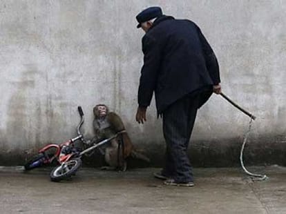 inside the bizzare world of circus