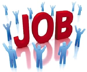 jobs opportunity in 2015 in 2015. 