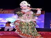 school anual function