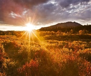 new morning of new year