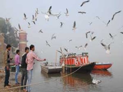 Bank of Assi becomes neat and clean in Varanasi.