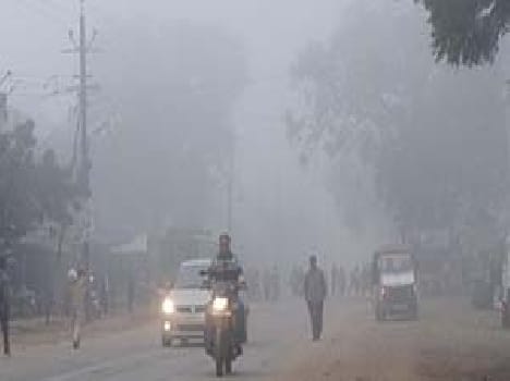 Drop in temperature , cripples life