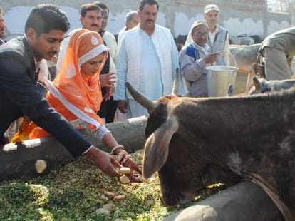 OMG! Very Strange Kind of Marriage Recepiton, Read Story