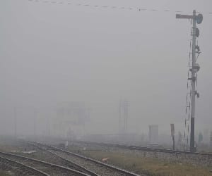fog is proved killer for two families.