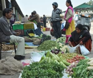 cheap vegetable fair in uttarakhand.