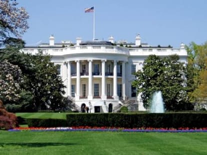 america given law licence to chinese migrant