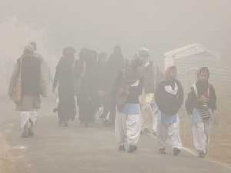 Wrath of fog and cold wave continues