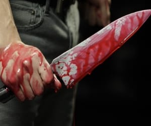 girl murdered at manali, accused arrested.