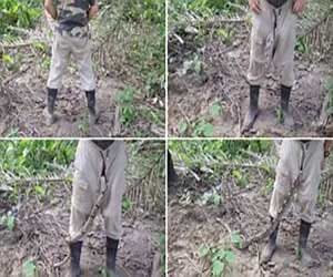 deadly snake slithers from man's trousers