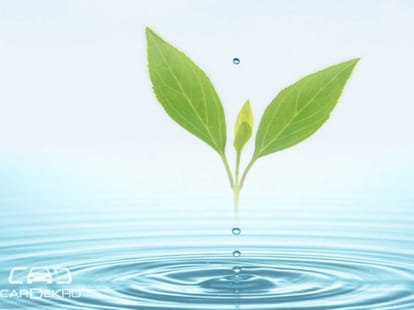 Cars to run on water, sunlight?