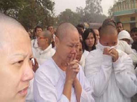 Tourist plane wept sad to part